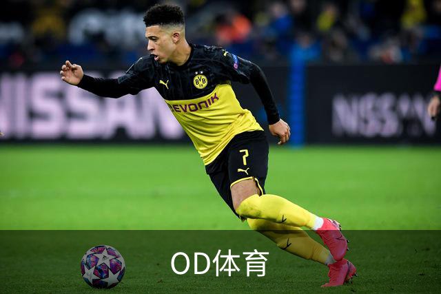 OD体育公司环境与服务团队
